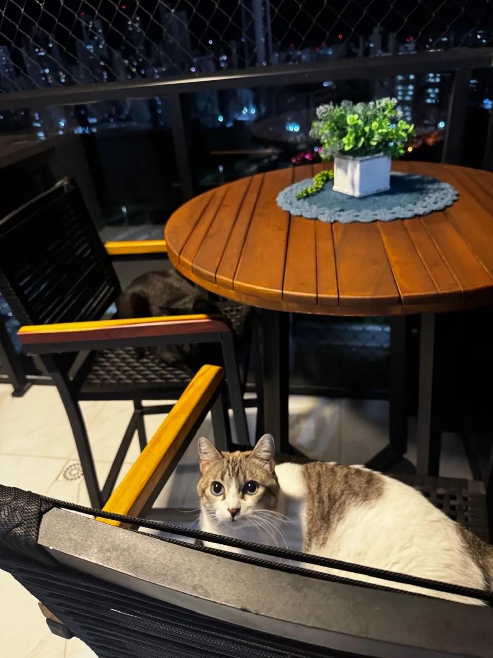 Vendo conjunto de mesa com banquetas altas  - Foto 2