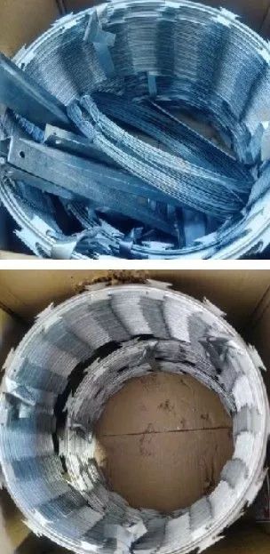 Concertina/Nova - Foto 3