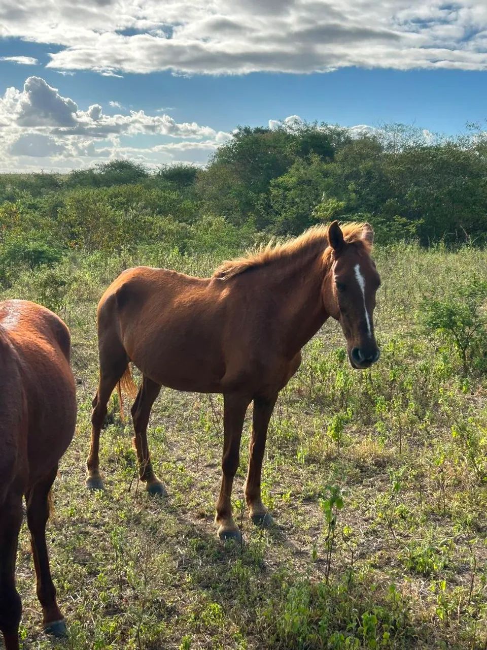 Mãe e filho  - Foto 3