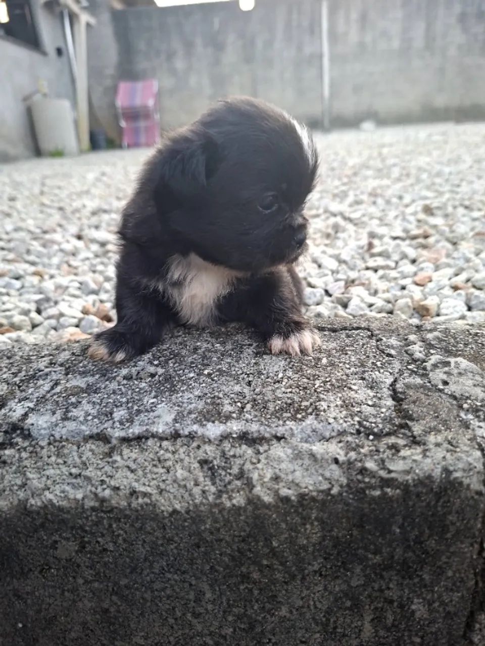 Vendo  - Foto 3