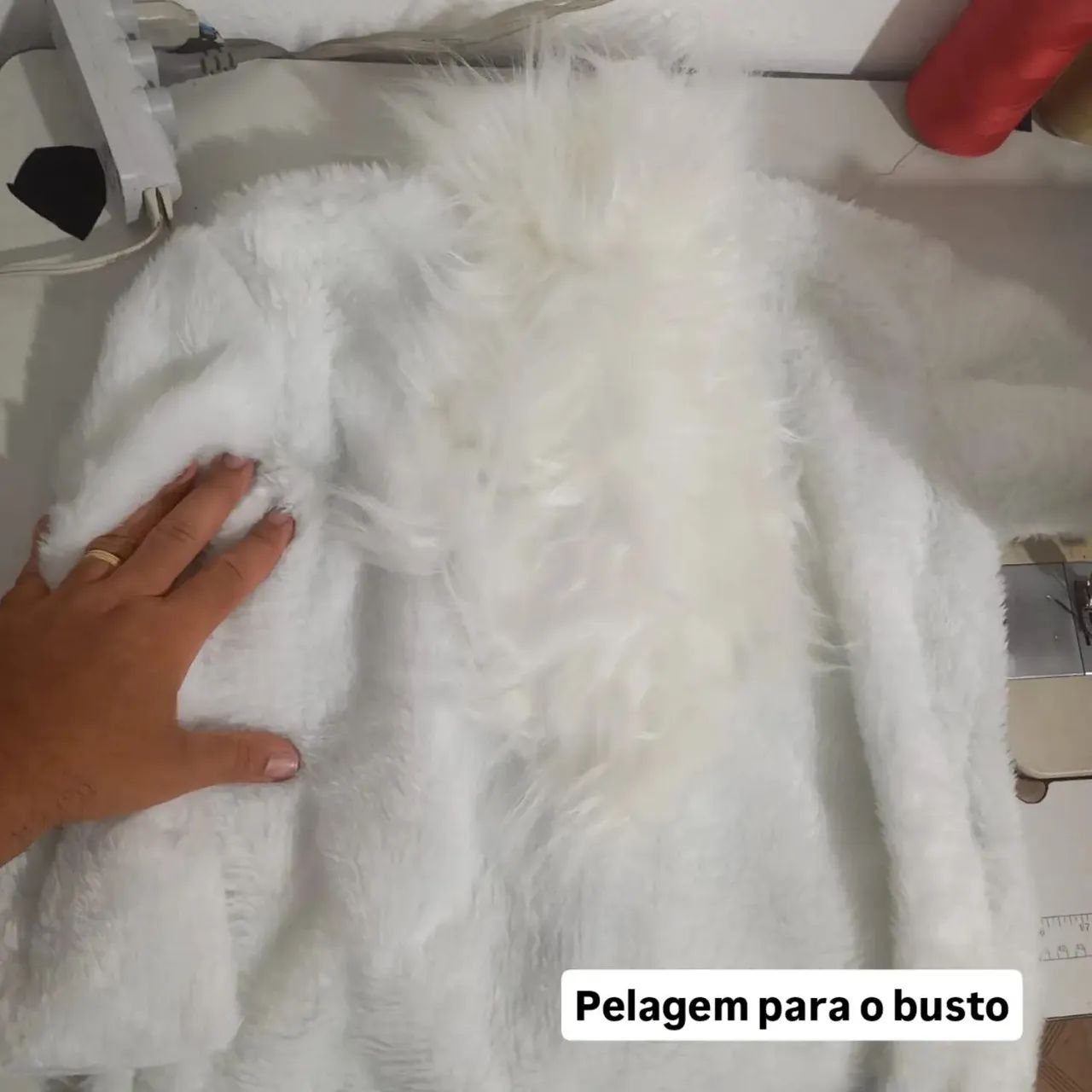 Cosplay Lobo da Morte  - Foto 4