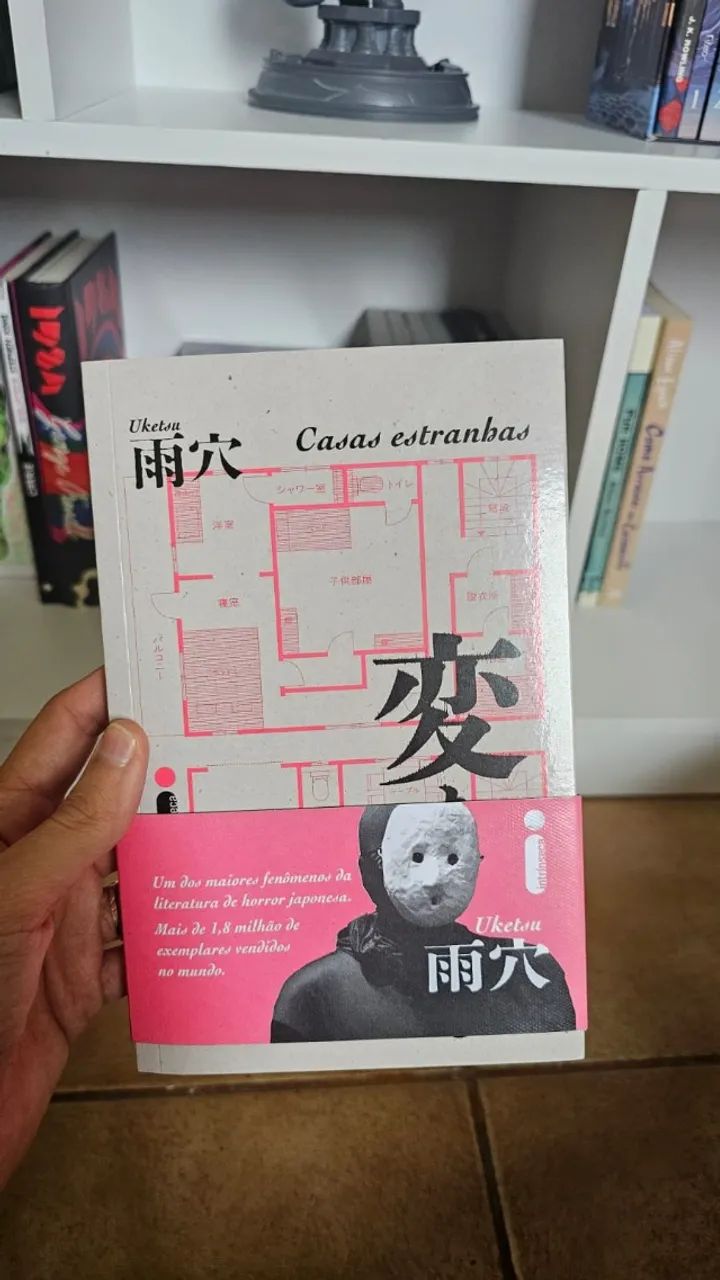 Livro Casas Estranhas
