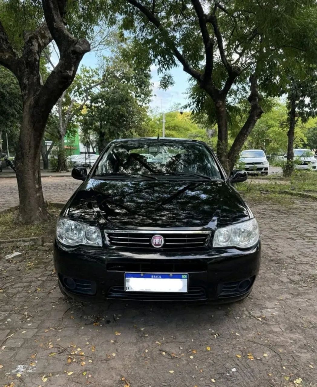 Fiat Palio Palio 1.0/ Trofeo 1.0 Fire/ Fire Flex 2p 2015