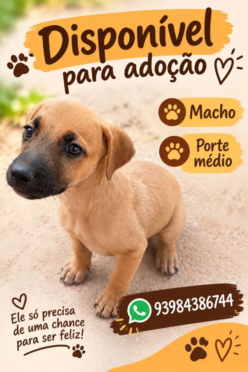 Doação 