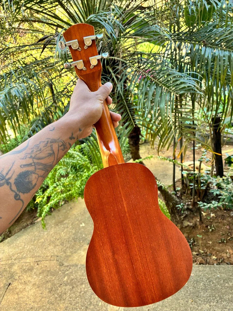 Ukulele  - Foto 2