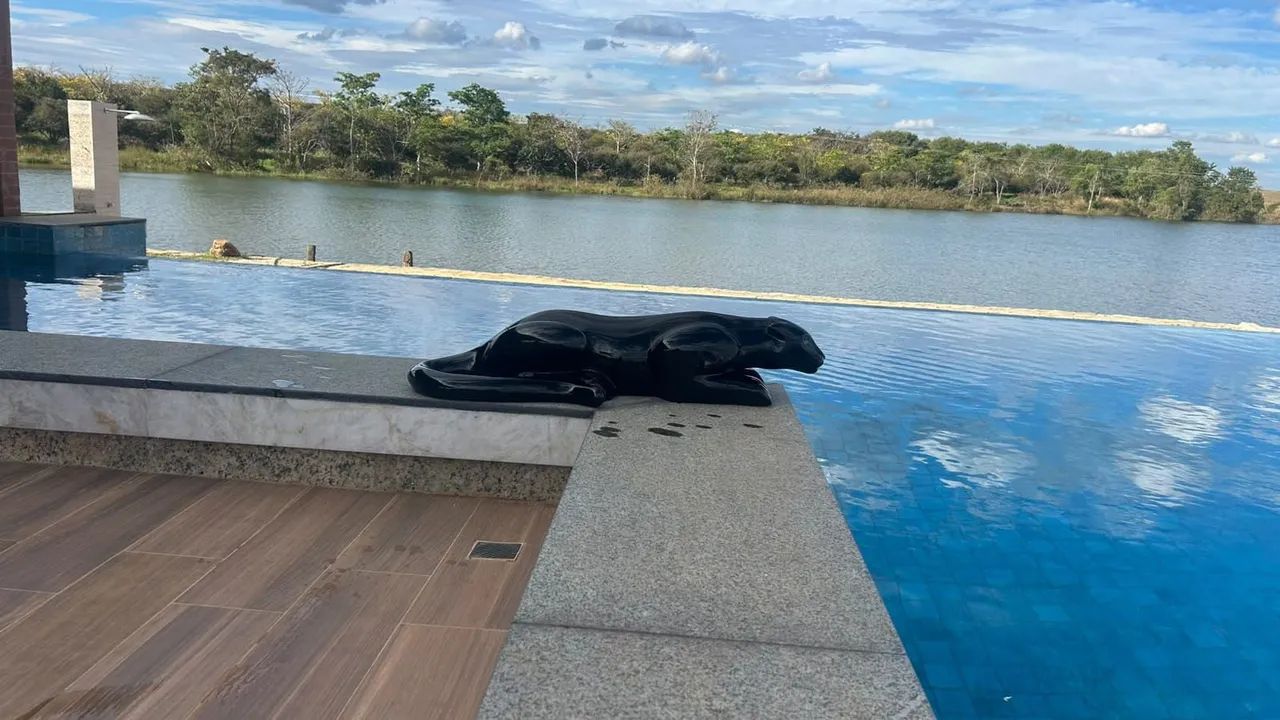 Trabalho com panteras de fibras  - Foto 5