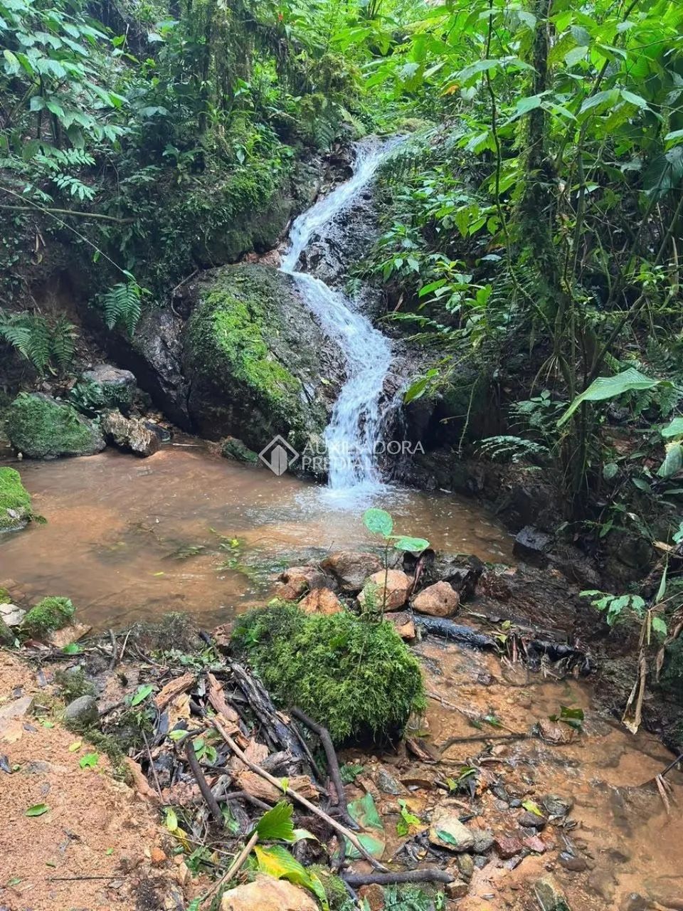 Sítio com cachoeira - Foto 4