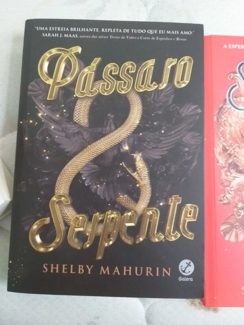 Passaro e Serpente Box - Foto 2