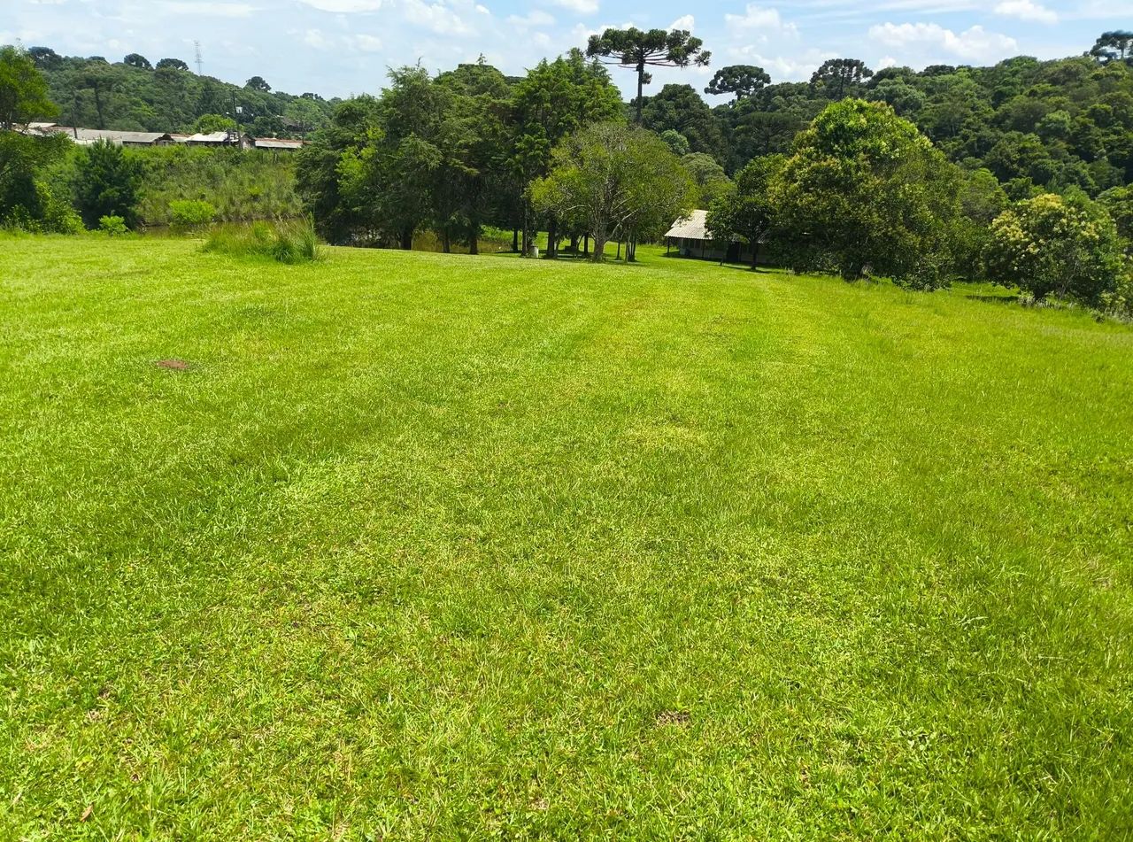 Alugo chacara linda