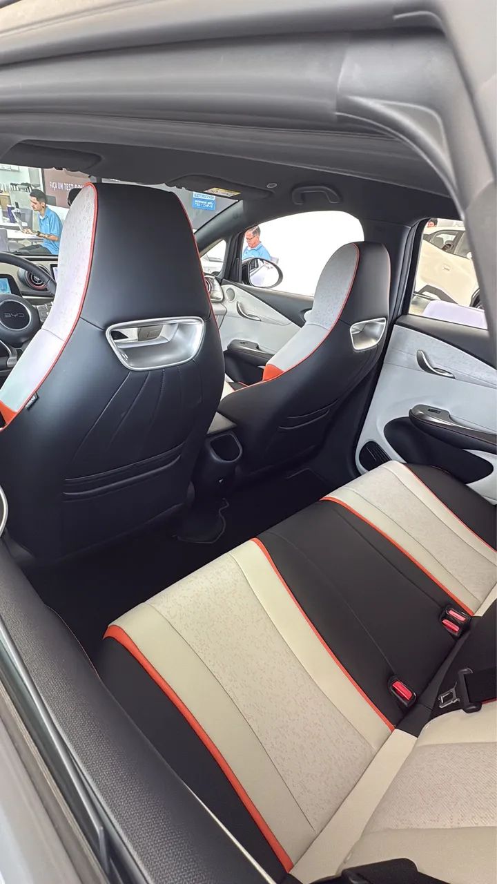 BYD Dolphin GS (Elétrico) 2027 - Foto 5