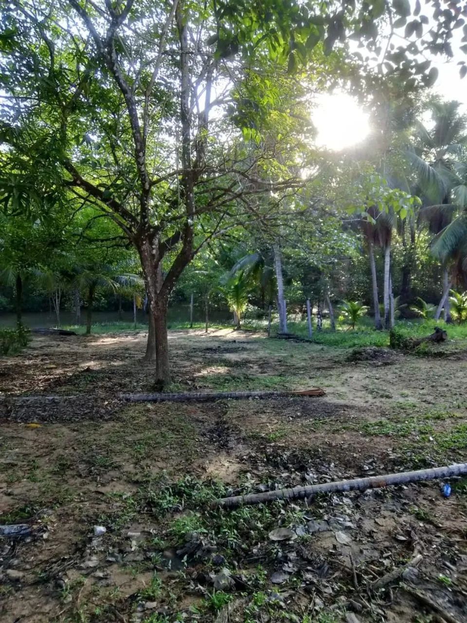 Foto - Belém - Reduto