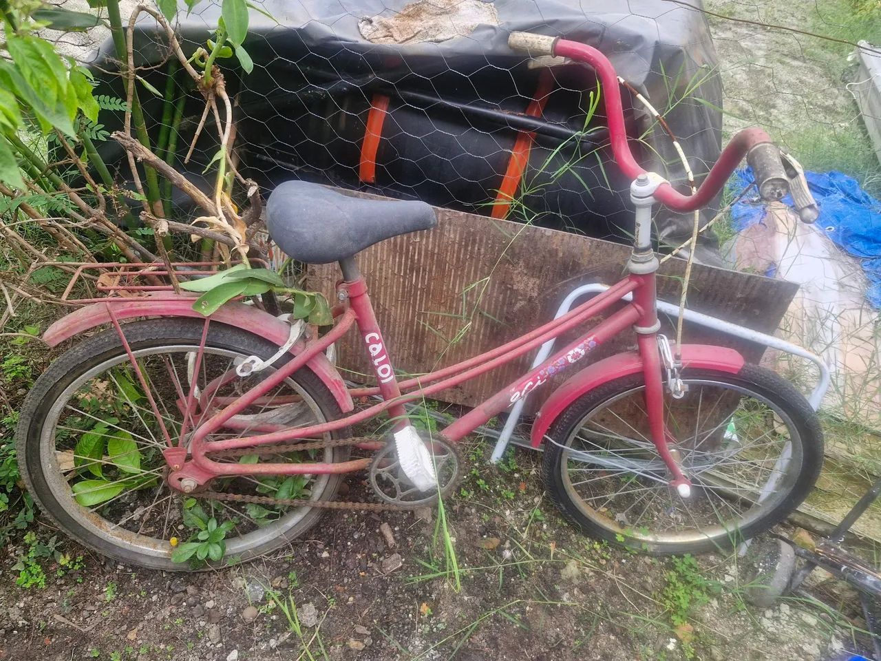 3 bicicletas 