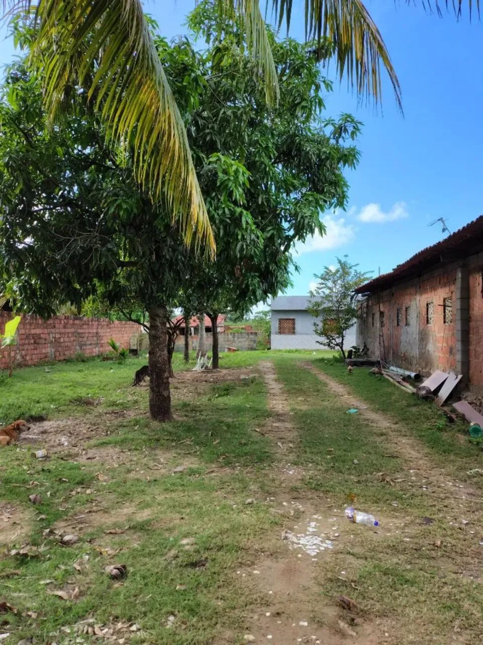 Chácara de 6.000m² na Rodovia dos Náufragos - Robalo. - Foto 5