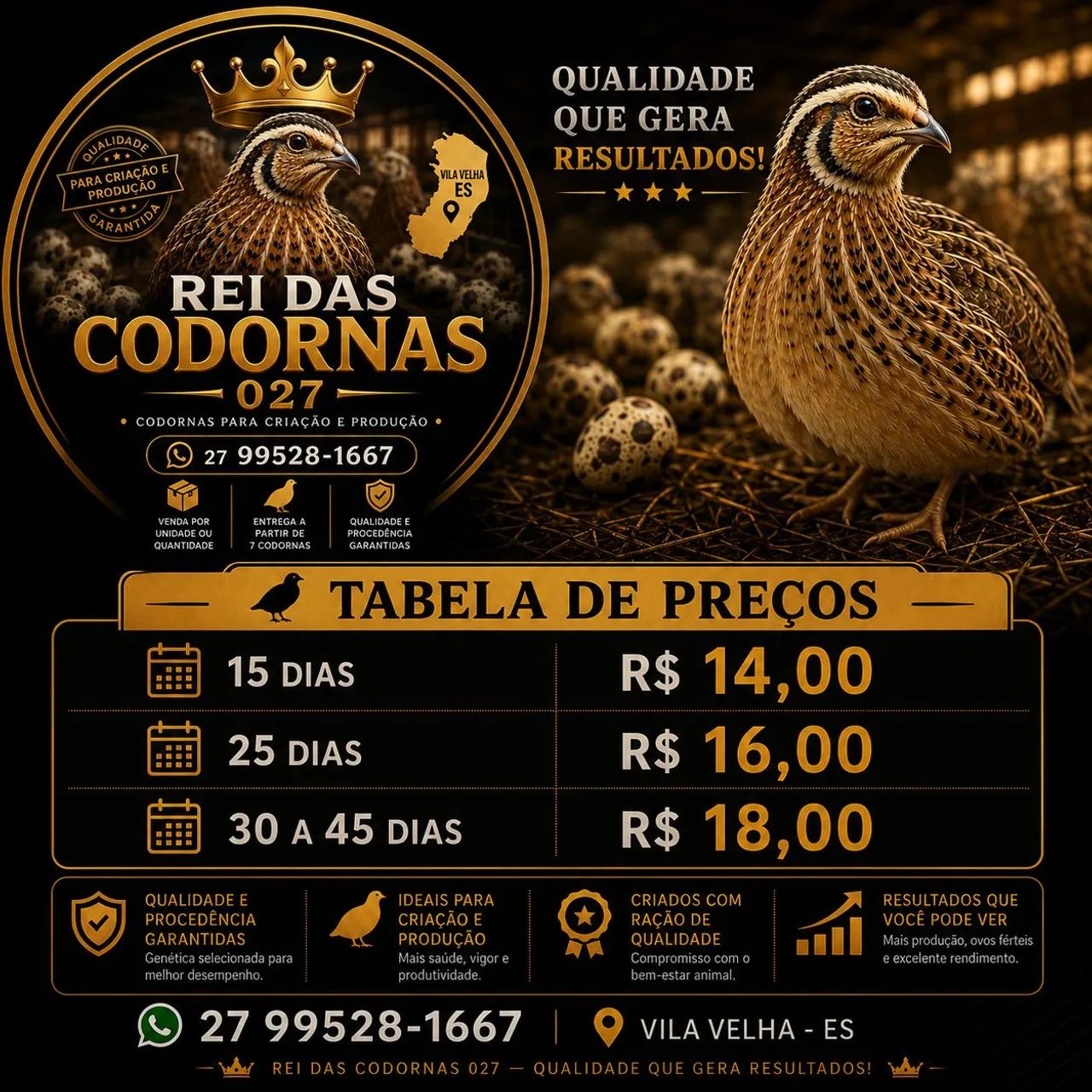 CODORNAS PARA CRIAÇÃO E PRODUÇÃO - VILA VELHA/ES 