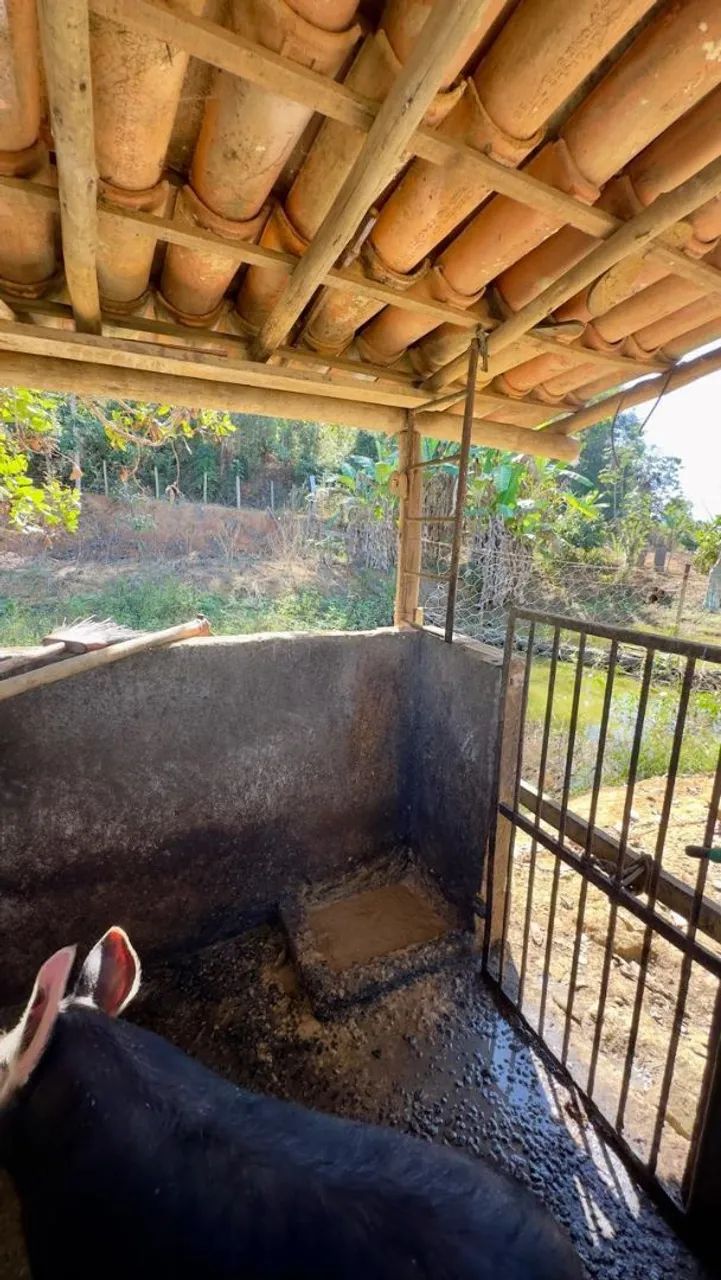 Chácara  - Foto 2