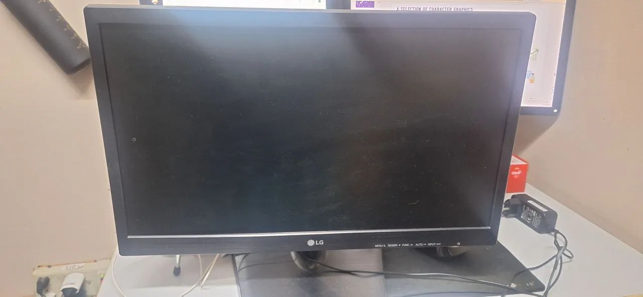 Monitor LG 19,5 Polegadas