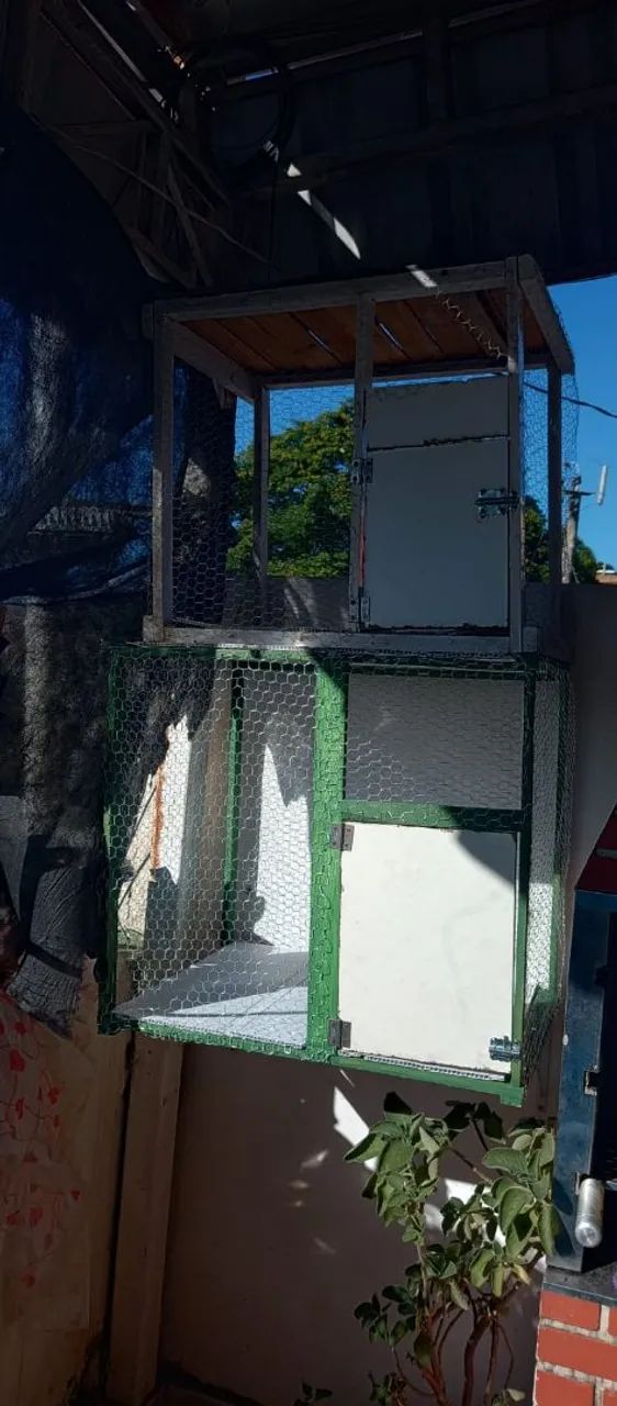 Viveiro médio  - Foto 4