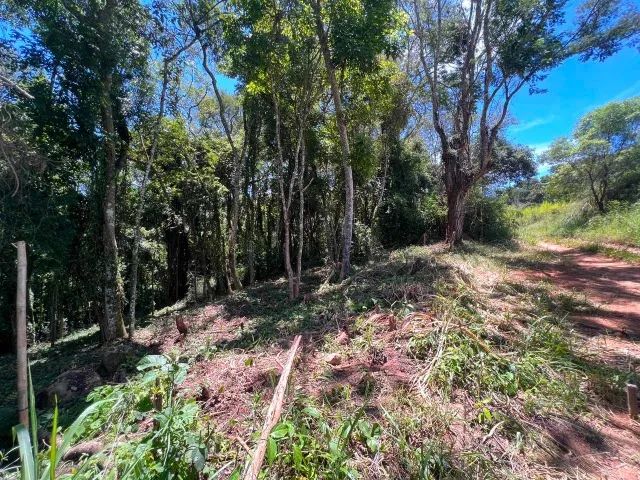 VENDO TERRENO A 600MTS DA REPRESA DE ITUPARARANGA  - Foto 4
