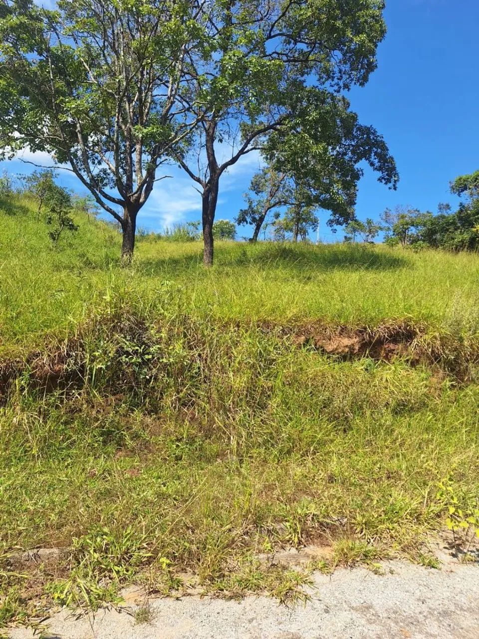 Lote com 416m² em Vespasiano - MG - Foto 3