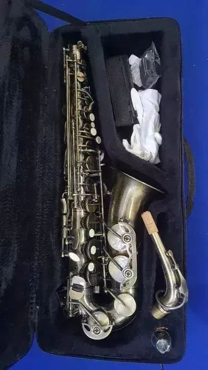 Sax alto Dolphin  - Foto 2