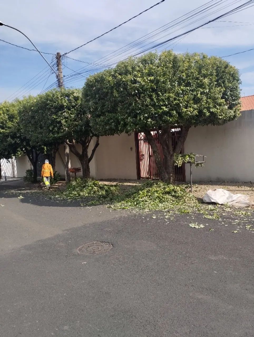 Podar a árvore é bem estar pessoal e coletivo  - Foto 4