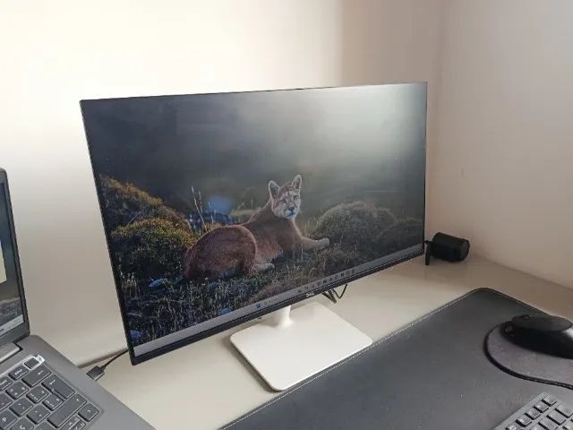 Monitor DELL LED 24 Polegadas