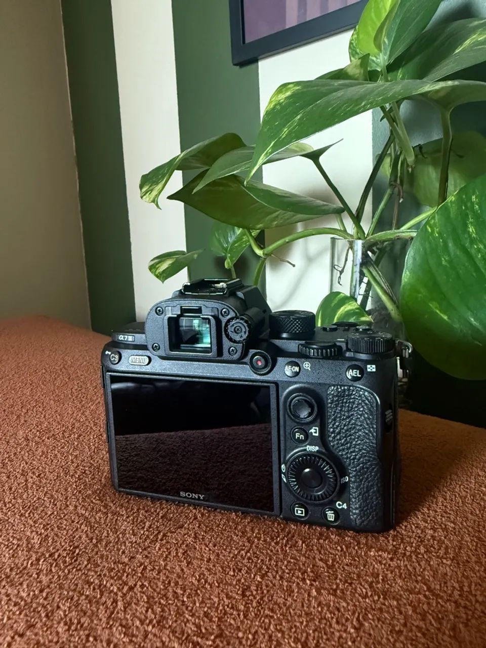 Sony A7III - Foto 2