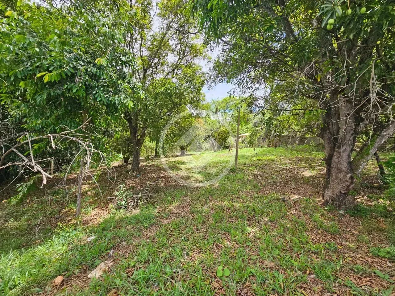 Lote Comercial Residencial Riviera codigo: 271811 - Foto 5