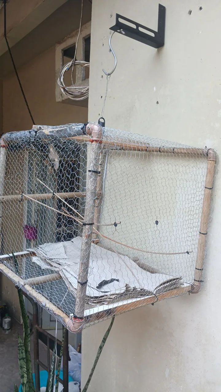 Gaiola - Foto 2