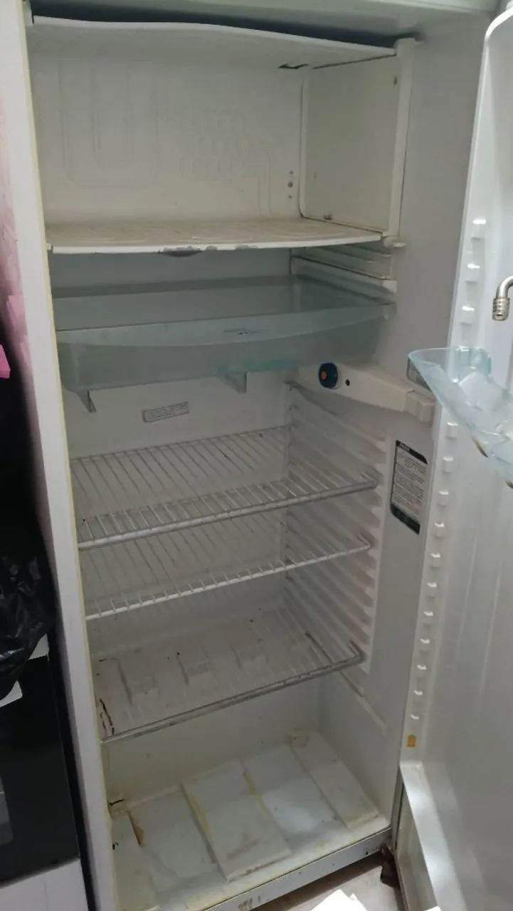 Geladeira não é Frost free