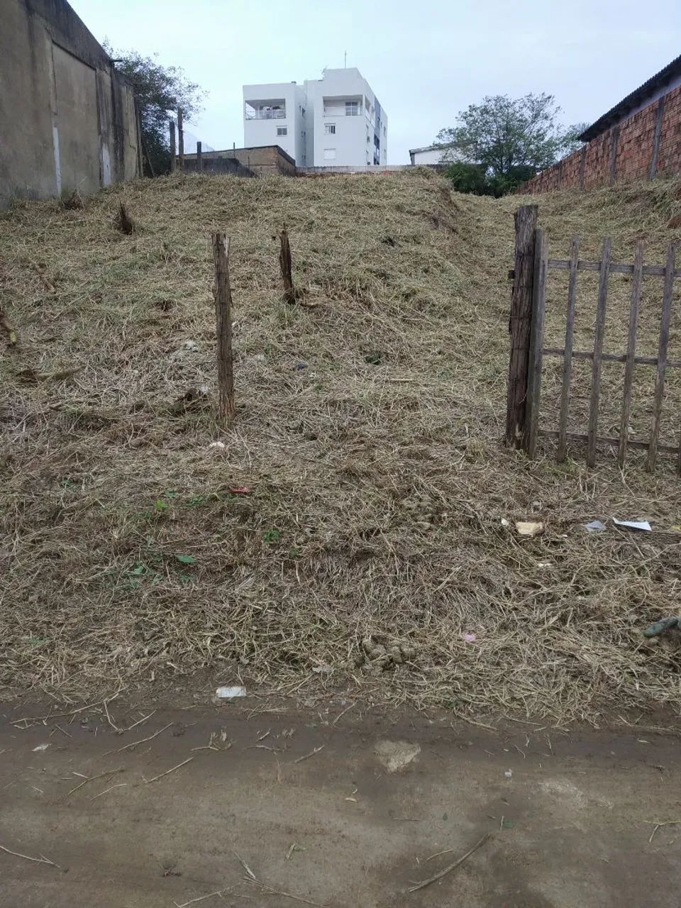 Foto - Viamão - Cecília