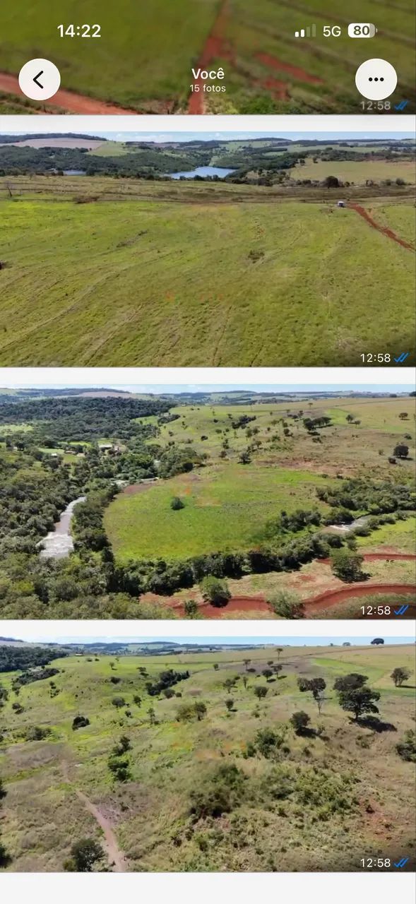Fazenda em Uberlândia 100 hectares 