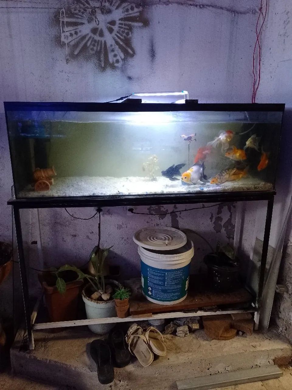 Complete aquarium