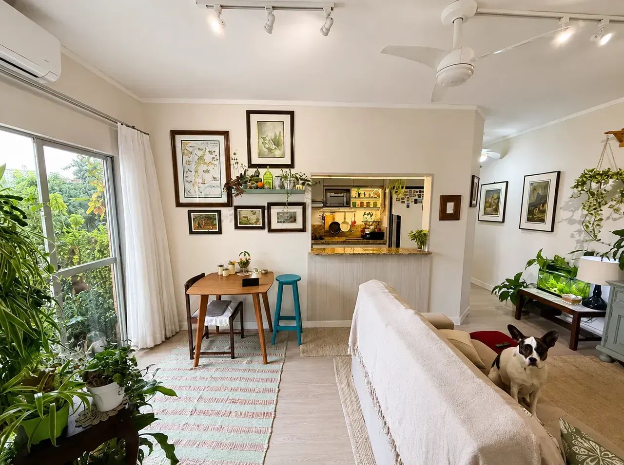 Apartamento à venda com 2 quartos, elevador no Estreito - Florianópolis - SC