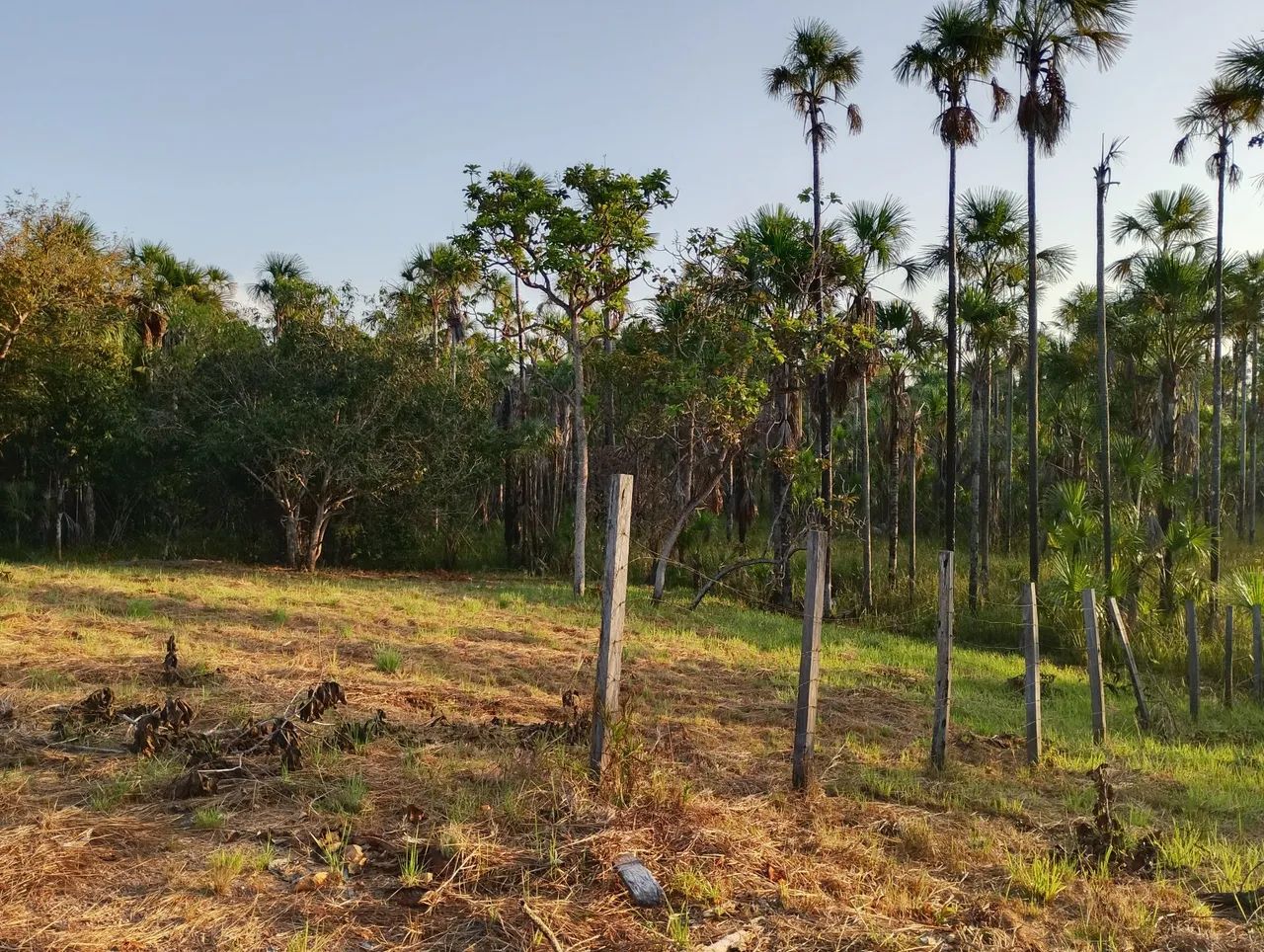Área +/- 6.000m²  Linda! - Foto 5