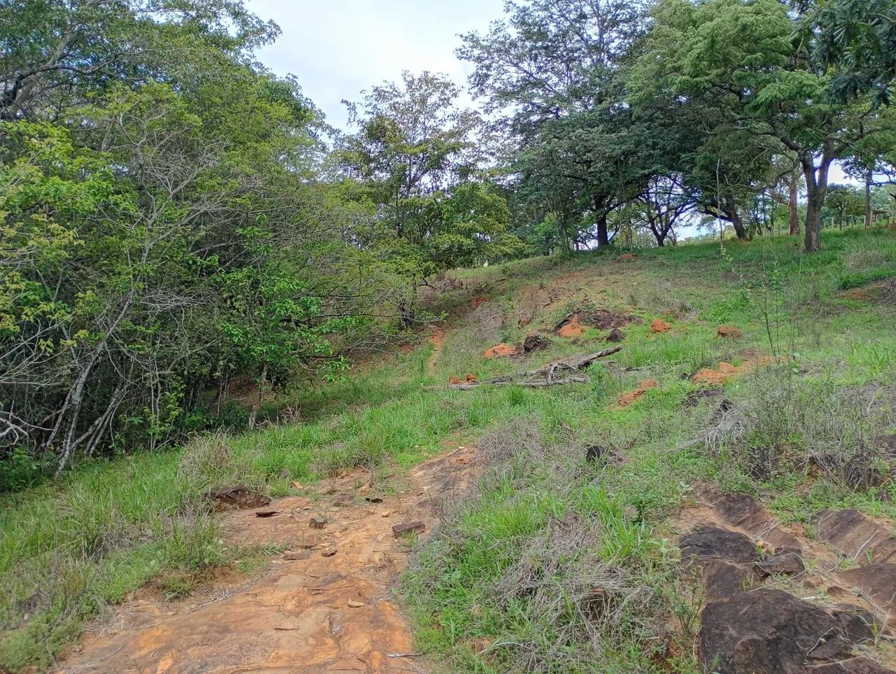 Terreno módulo rural em juatuba  - Foto 4