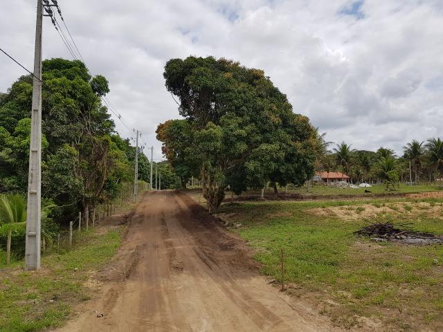RE/MAX Safira vende lote na Estrada dos Macacos, Trancoso, Bahia - Foto 3