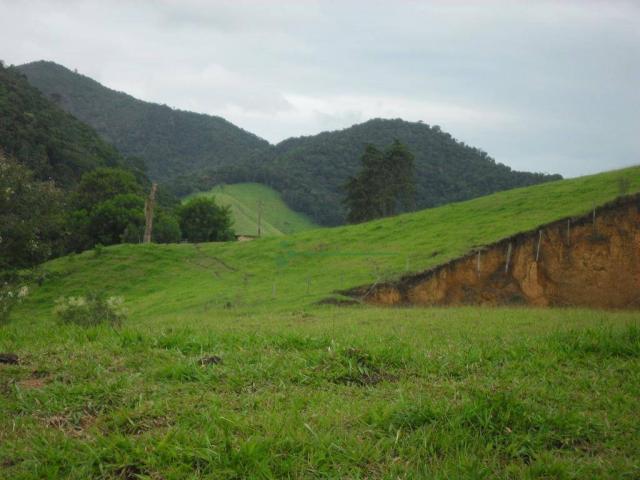 Área corporativa à venda, Vargem Grande, Teresópolis. - Foto 4