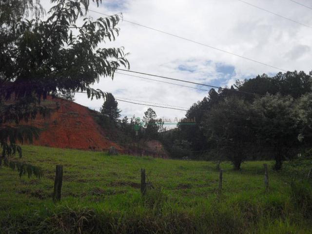 Área corporativa à venda, Vargem Grande, Teresópolis. - Foto 12