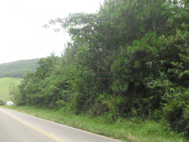 Área corporativa à venda, Vargem Grande, Teresópolis. - Foto 19
