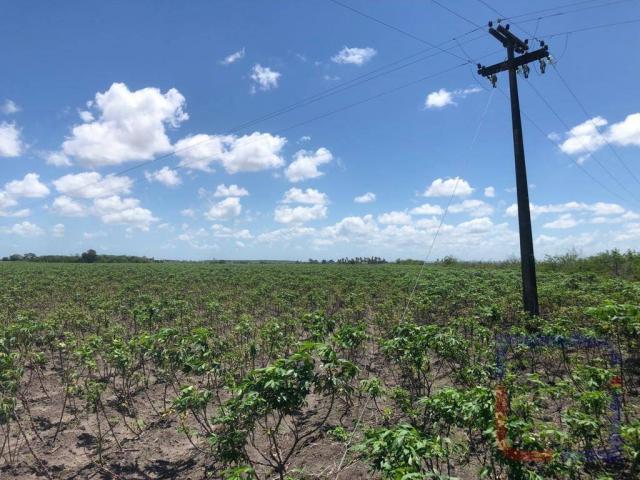 Fazenda com 3 dormitórios à venda, 530000 m² por R$ 1.400.000 - Centro - Curral de Cima/PB - Foto 4