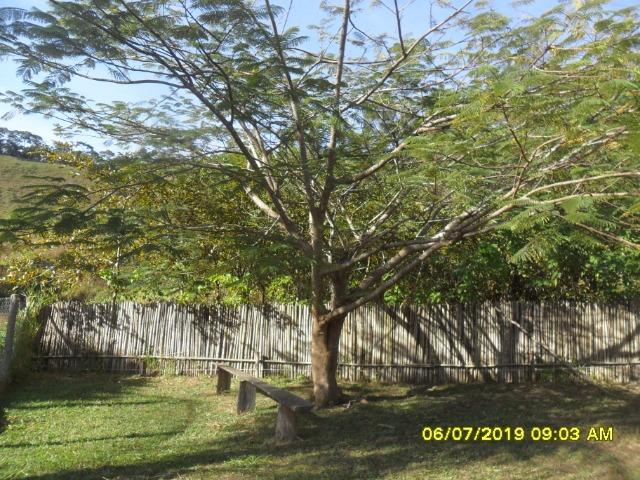 1313/Bela fazenda de 32 ha com linda casa antiga e restaurada - Foto 19