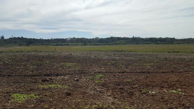 Chácara com 242.000 m² Rincão Tijucas do Sul