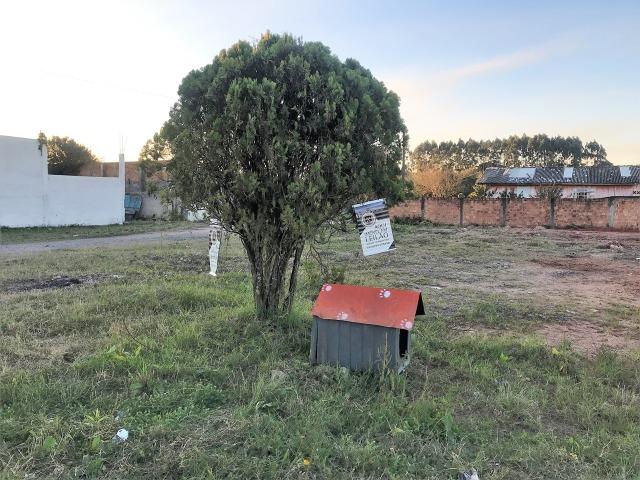 Terreno na Rua Helena de Kowalski de Paula, 107, São José dos Pinhais - Foto 3