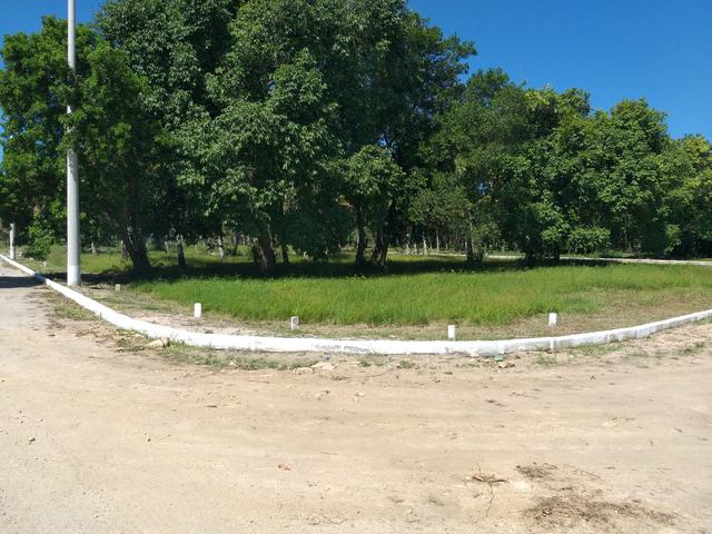 Cód 107 Lotes em Unamar-Cabo Frio !!!! - Foto 5