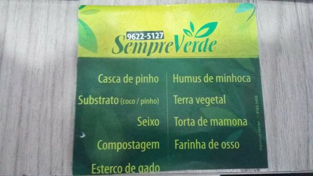 Orgânico- Sempre Verde