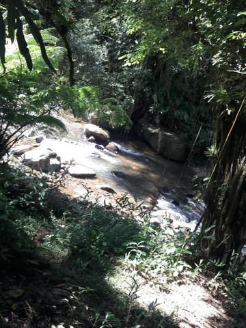 Vendo ou troco chácara sítio - Foto 8