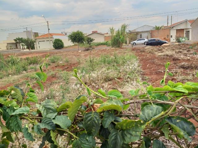 Terreno Jd Canada Batatais SP - Foto 13