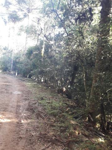 Para você que procura descanso e tranquilidade junto as belezas da serra gaucha - Foto 6