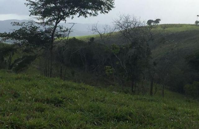 Propriedade em Joaquim Gomes - Foto 10